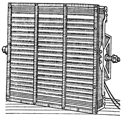 Großblatthaller