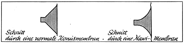 Nawi-Membran